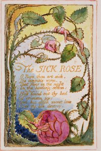La Rose malade : planche 39 de Songs of Innocence and of Experience (copie AA) c.1815-26 - William Blake